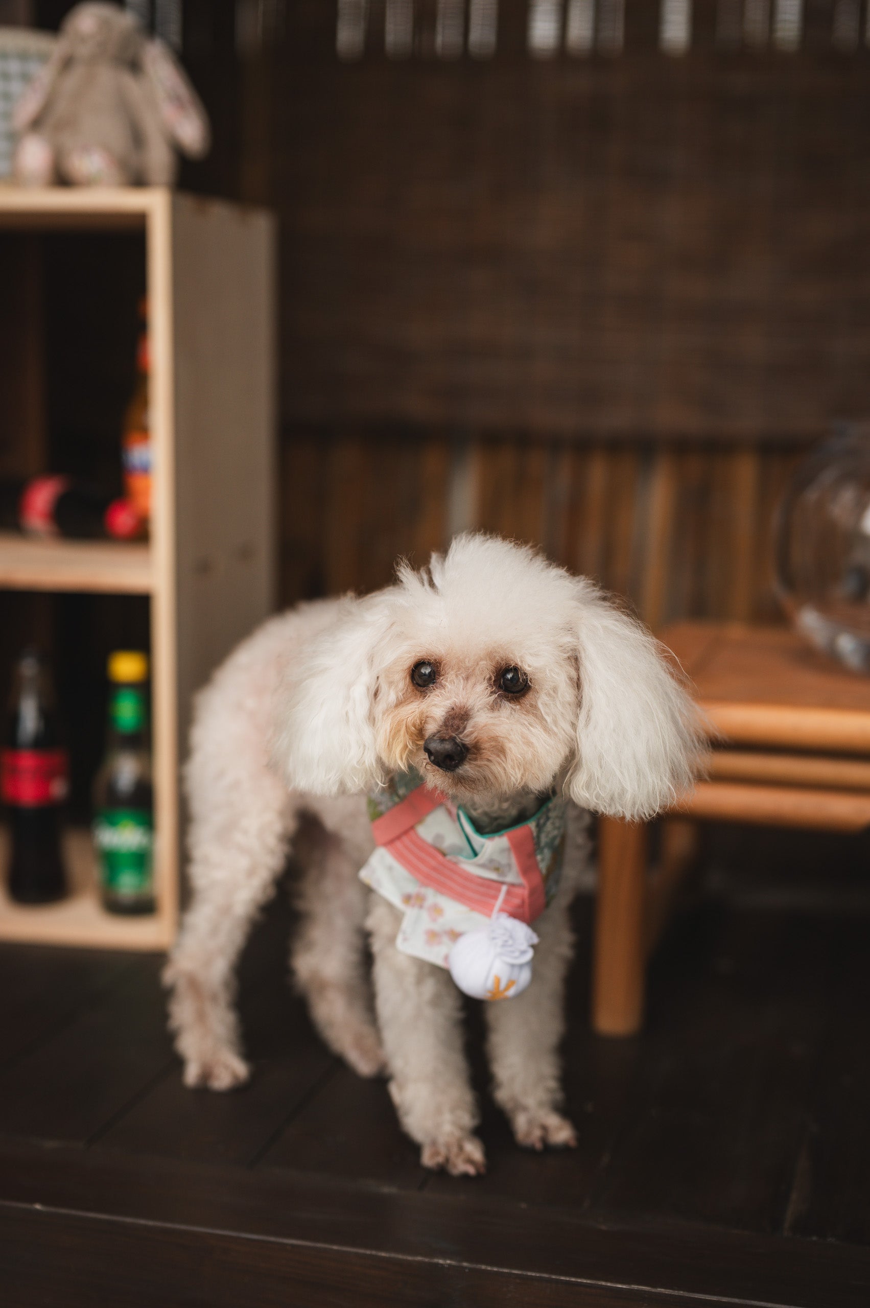 Summer Pavilion - Outdoor Mini (20mins)