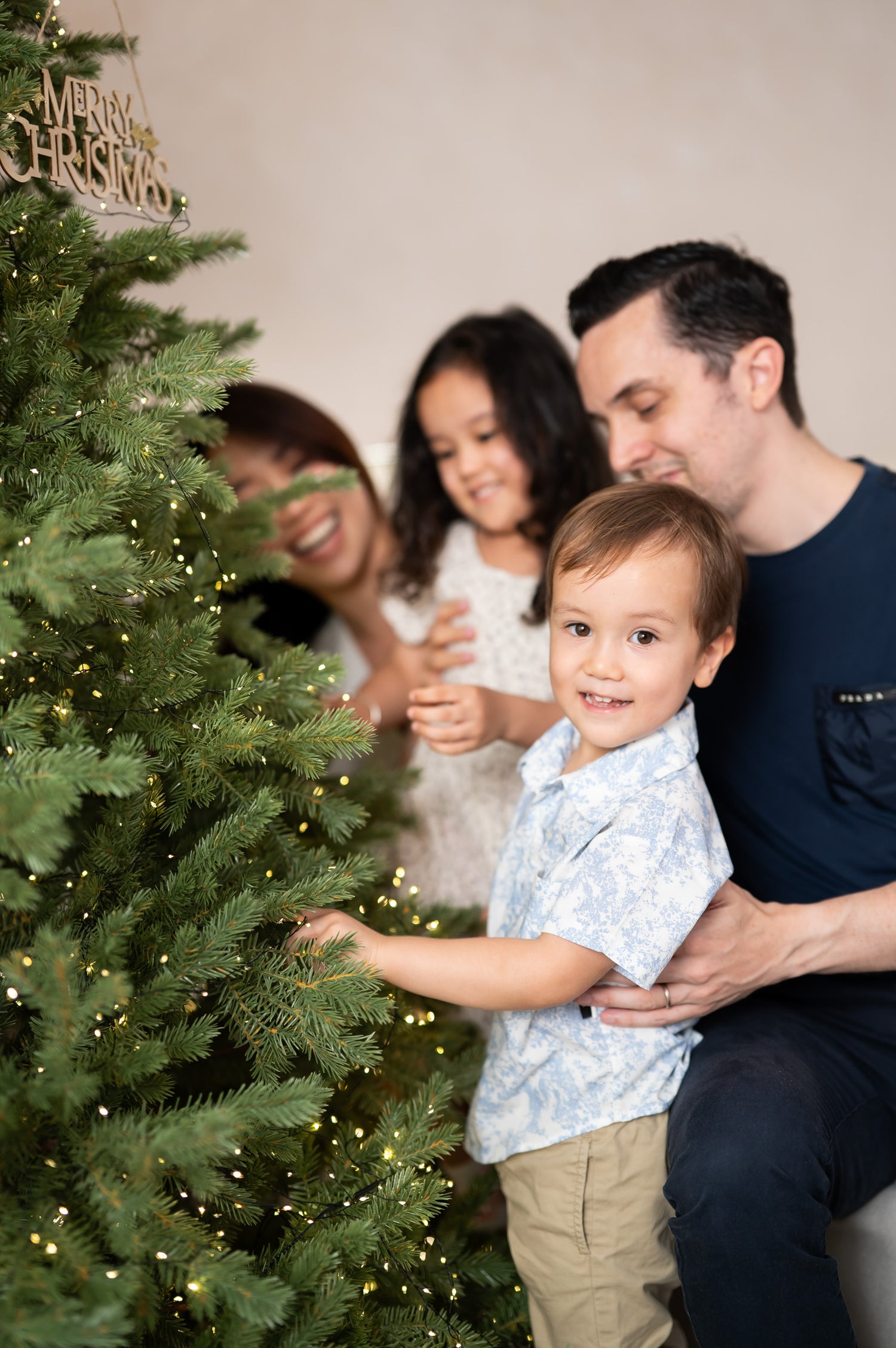 Tree of lights Mini Family Package (20mins)