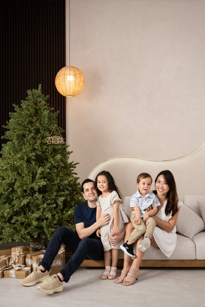 Tree of lights Mini Family Package (20mins)