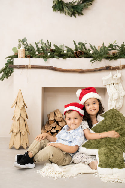 Tree of lights Mini Family Package (20mins)