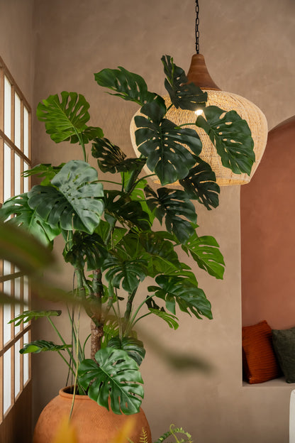Terra Di Casa Classic Family Package (45mins)