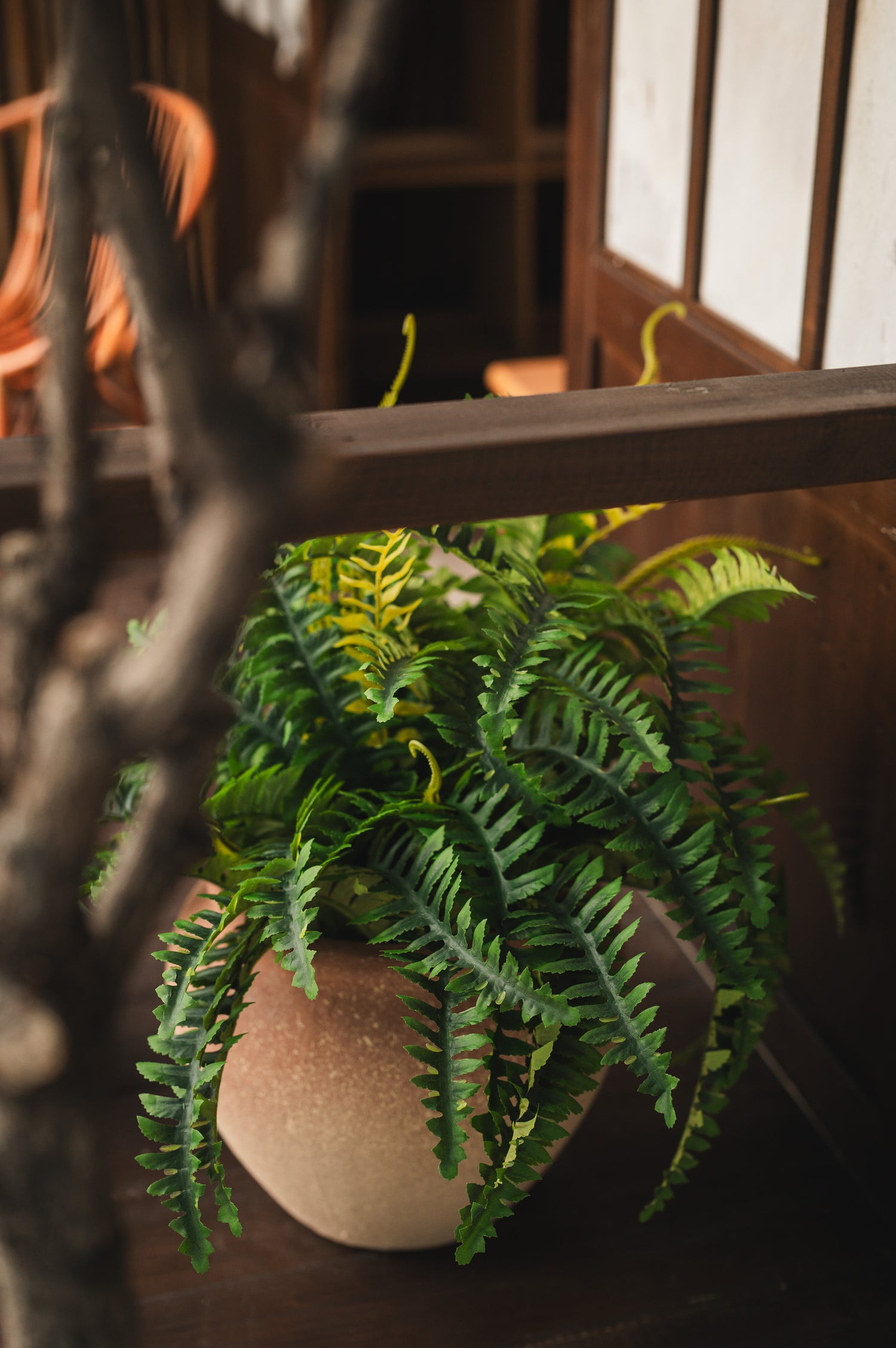 Terra Pavilion - Outdoor Mini (20mins)
